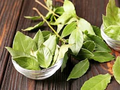 Dónde hay que poner hojas de laurel en casa para atraer la abundancia, según el Feng Shui