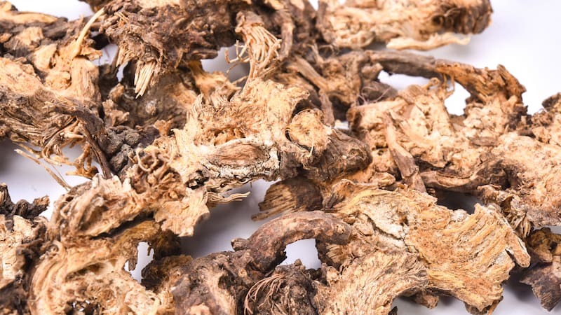 La hierba medicinal india que es un "potente antioxidante" y ayuda a retrasar el envejecimiento.