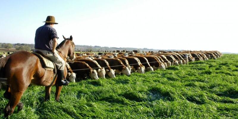 Los trabajadores rurales tendrán un aumento del 7% mensual.