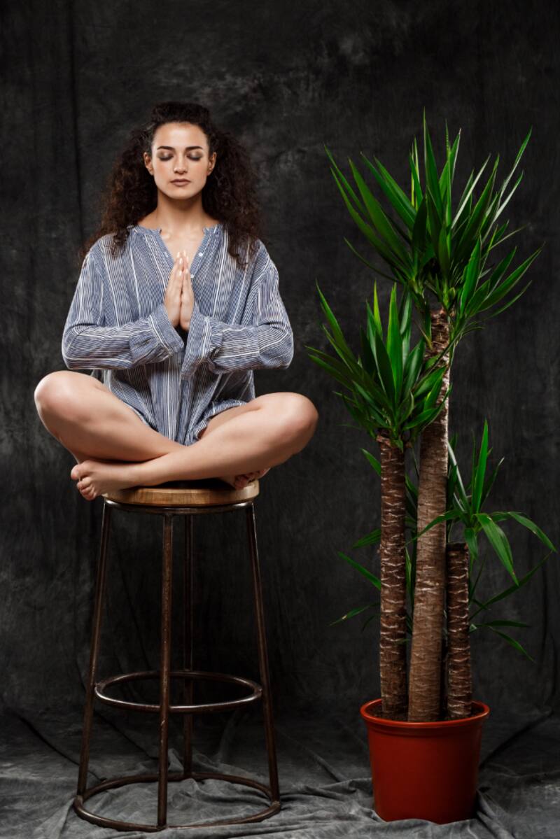 Plantas recomendadas por el Feng Shui. Fuente: Freepik.