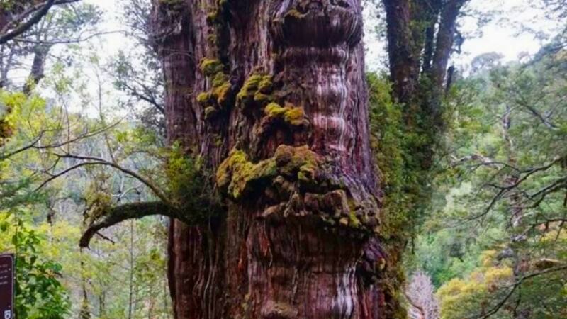 <div class="migrated-promo-image__description"><div class="migrated-promo-image__source">Fuente: Noticias Argentinas</div></div>