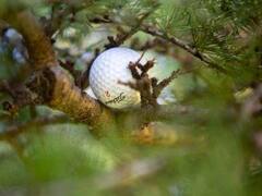 Miguel Leeson, desde la AAG: “Permitir el golf tiene menor riesgo que ir a un supermercado .