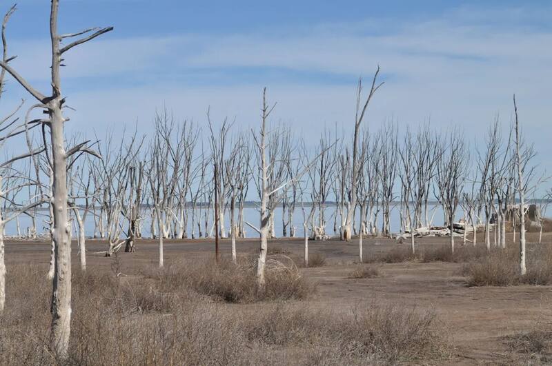 (Gobierno de la Provincia de Buenos Aires)