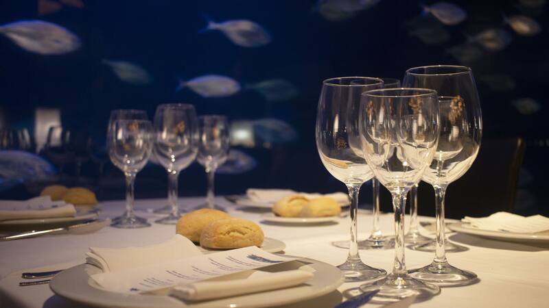 Avanqua Oceanográfic.