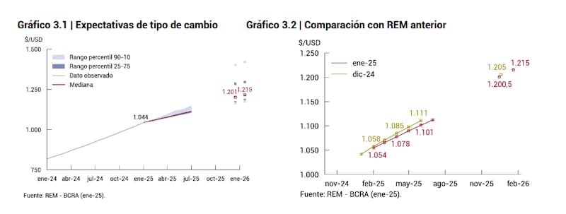 Dólar 2025: qué va a pasar con la divisa este año, según las principales consultoras