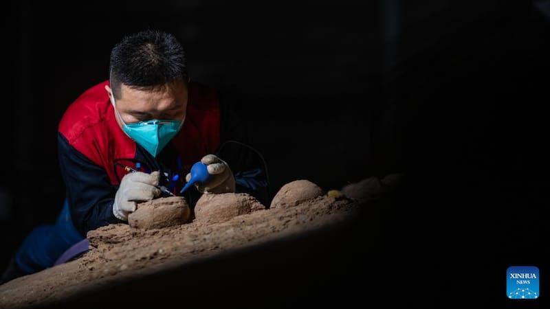 Un especialista trabaja en la limpieza y preservación de huevos fósiles de dinosaurio hallados en el yacimiento de Qinglong Mountain, en la provincia de Hubei.