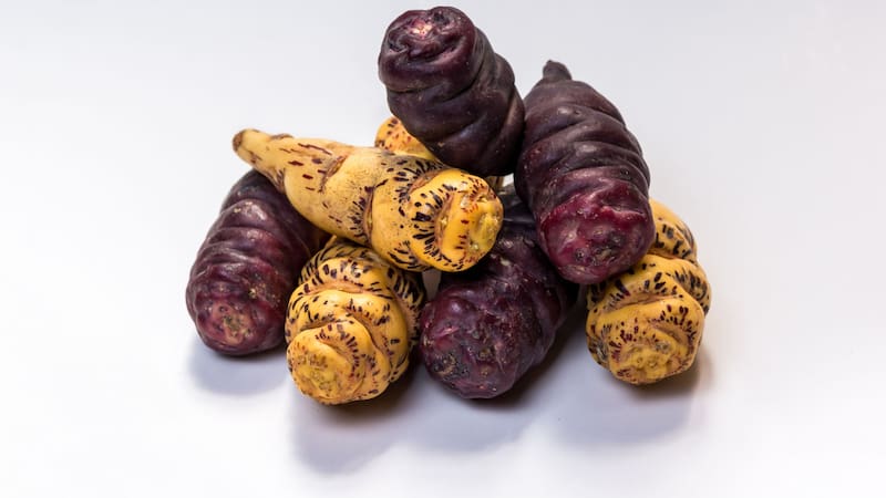 <div class="migrated-promo-image__description"><div class="migrated-promo-image__source">Fuente: Shutterstock</div></div>