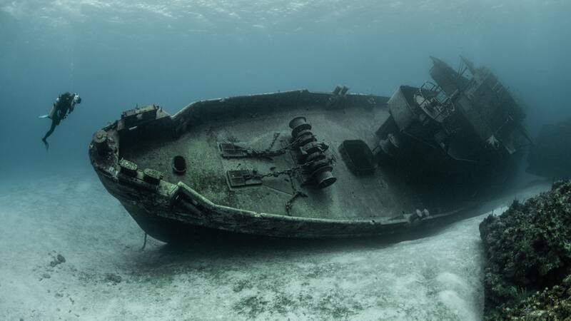La falta de medidas de protección por parte del Gobierno portugués podría amenazar la preservación de estos tesoros.