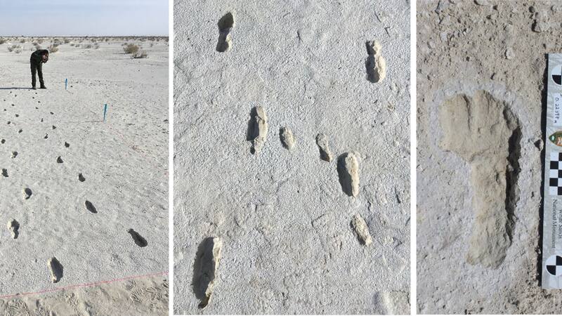 <div class="migrated-promo-image__description"><div class="migrated-promo-image__source">Fuente: National Park Service</div></div>