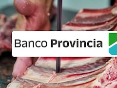 Banco Provincia confirmó nuevos descuentos en carnicerías con Cuenta DNI: ¿cómo quedan ahora?