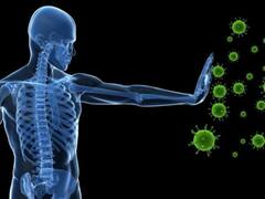 La barrera de hierro: el alimento que potencia el sistema inmune