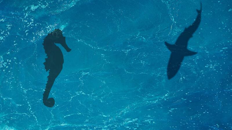 <div class="migrated-promo-image__description"><div class="migrated-promo-image__source">Fuente: Shutterstock</div></div>