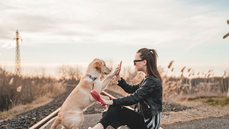 <div class="migrated-promo-image__description"><div class="migrated-promo-image__source">Fuente: Unsplash</div></div>