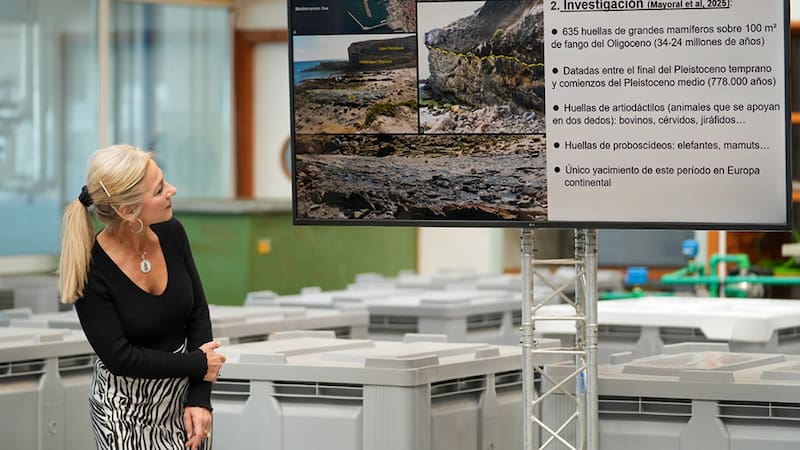 Investigadores del IAPH analizan más de 600 pisadas con técnicas paleontológicas avanzadas.