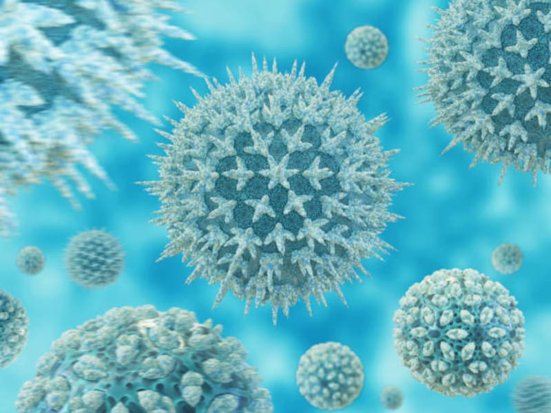 En la provincia china de Guangdong se han registrado más de 7.000 casos de chikungunya, un virus transmitido por mosquitos Aedes que también pueden propagar enfermedades como el dengue o el Zika. Foto: Archivo.