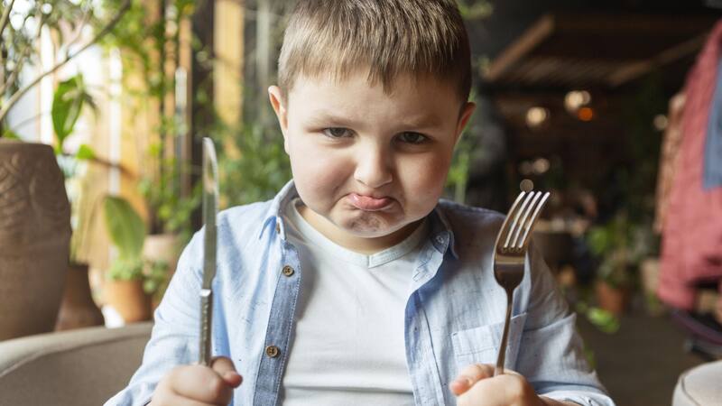 La genética tiene un papel importante en la alimentación quisquillosa de los niños, influyendo en su preferencia por ciertos alimentos.