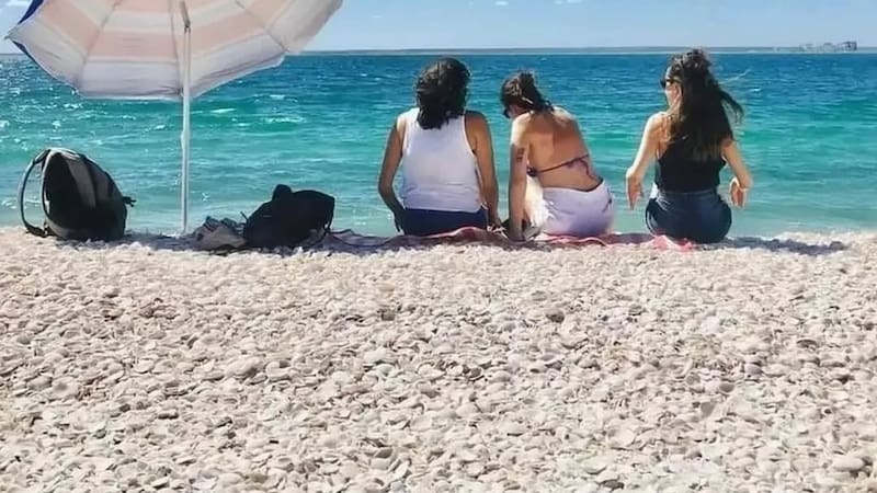 <div class="migrated-promo-image__description"><div class="migrated-promo-image__source">Fuente: Instagram </div><div class="migrated-promo-image__author">@puntaperdices</div></div>