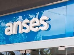 ANSES: cómo obtener la Certificación Negativa y para qué sirve