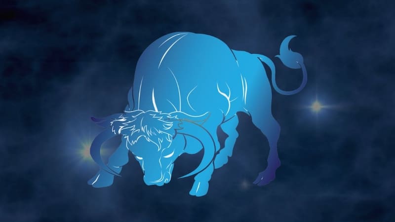 El punto débil de los taurinos es que son muy tercos (Fuente: archivo)