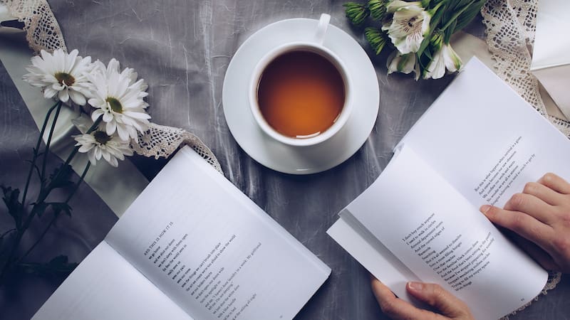Conocé cómo preparar el té blanco.