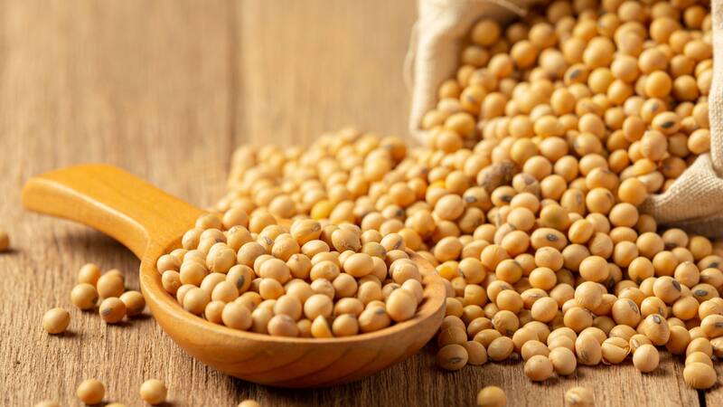 Brasil se consolida como un estratégico exportador de soja a China. Foto: Archivo Cronista México.