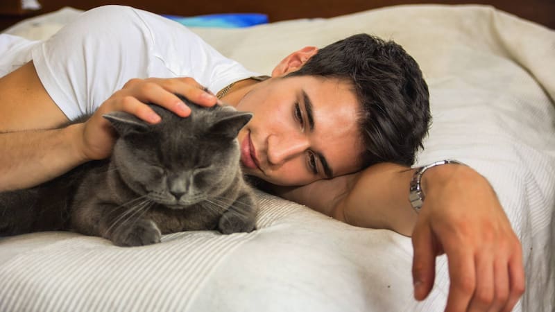 <div class="migrated-promo-image__description"><div class="migrated-promo-image__source">Fuente: Shutterstock </div></div>