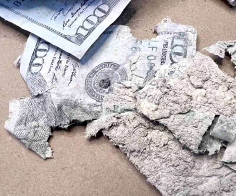 Cuáles son los billetes que no acepta ningún cajero automático ni banco. Fuente: BEP.