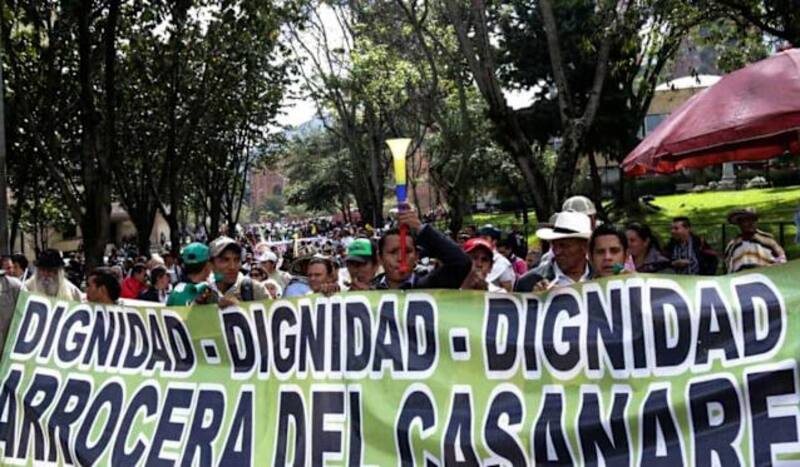 Sigue el paro arrocero en Colombia. (Fuente: Archivo)