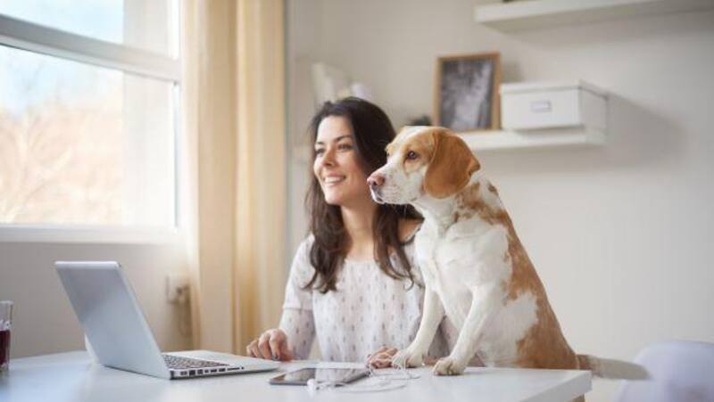 Según los encuestados, el trabajo híbrido trajo mejoras en sus vidas.