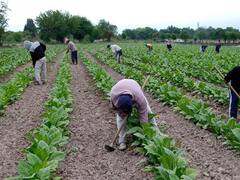 Los cinco factores que definirán la campaña agrícola 2022 -2023