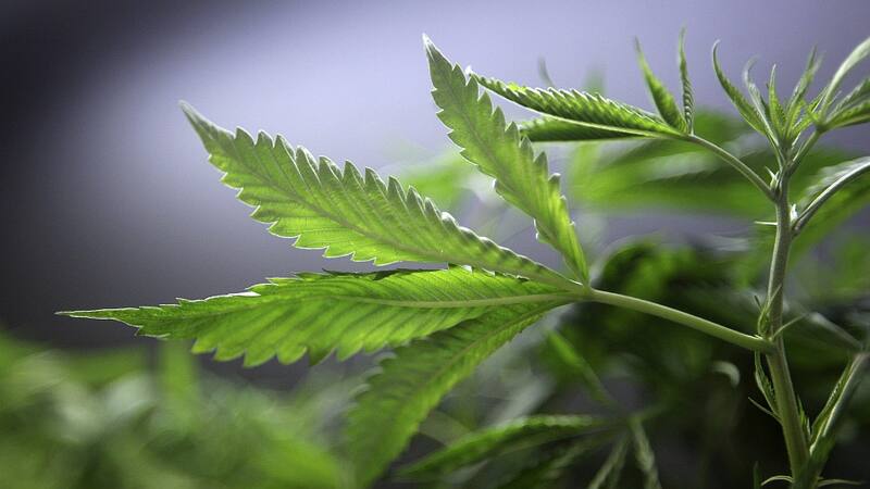 <div class="migrated-promo-image__description"><div class="migrated-promo-image__source">Fuente: REUTERS, X02728null</div></div>