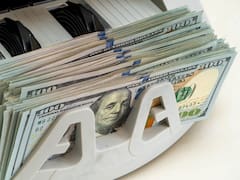 Plazo fijo en dólares: el banco que ofrece la tasa más alta de Argentina, ¿cuánto gano si deposito u$s 100?