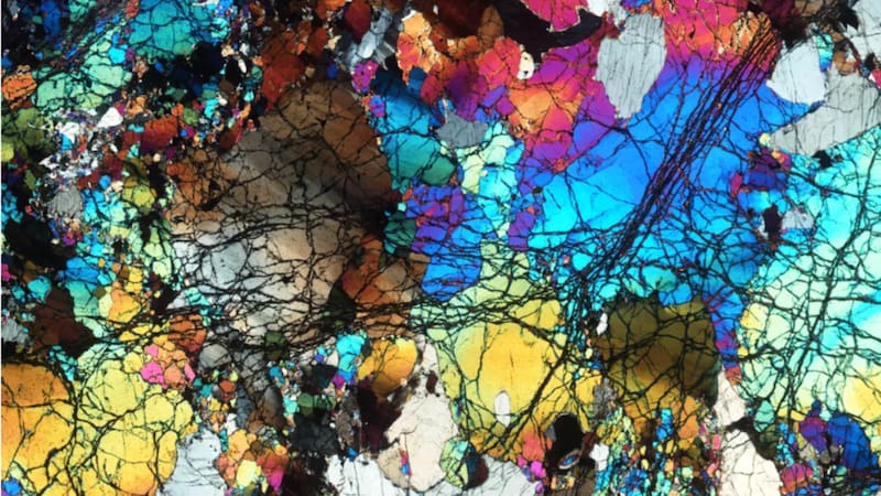 <div class="migrated-promo-image__description"><div class="migrated-promo-image__source">Fuente: Museo Nacional de Historia Natural</div></div>