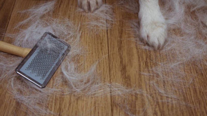 <div class="migrated-promo-image__description"><div class="migrated-promo-image__source">Fuente: iStock</div></div>