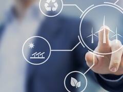 Energías renovables: los privados le traen dinamismo al mercado