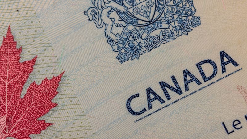 <div class="migrated-promo-image__description"><div class="migrated-promo-image__source">Fuente: Shutterstock</div></div>