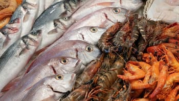 Alerta por pescado en mal estado: el Gobierno lanza un aviso nacional y exige no comprar los que no tengan este color