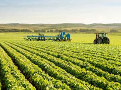 Créditos para pequeños productores agrícolas: montos, tasa y requisitos