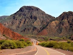 Vacaciones de invierno sin nieve: 6 razones para viajar en familia a Salta