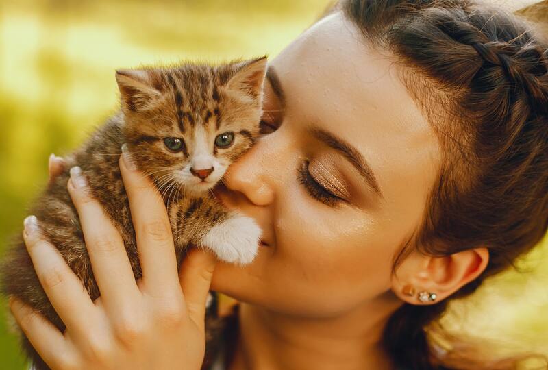Un estudio revela dónde se origina el amor en el cerebro y cómo se activa. Imagen: archivo.