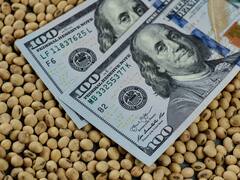 Soja: cuánto perderá el país por la baja del precio
