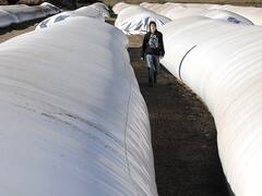 Más control a los productores de granos: el Gobierno busca acelerar la venta de las cosechas