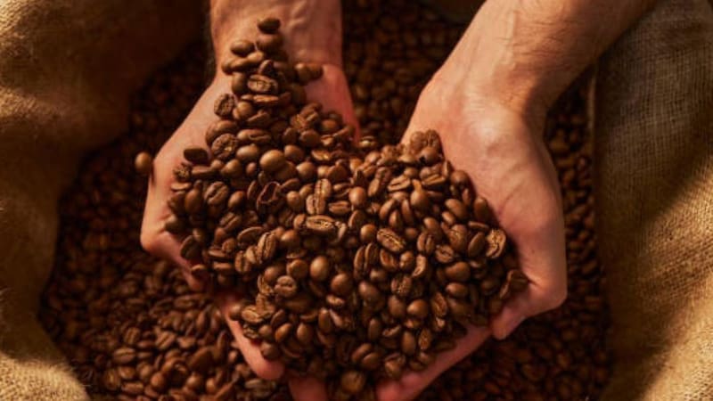 <div class="migrated-promo-image__description"><div class="migrated-promo-image__source">Fuente: Archivo</div></div>