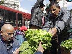 Pequeños productores protestan y regalan 20 toneladas de verduras