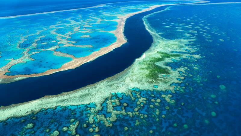 Las temperaturas del agua están desencadenando un fenómeno devastador para los arrecifes de coral.