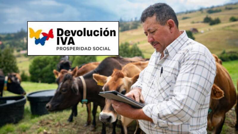Devolución del IVA.