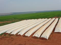 El campo puede volcar u$s 5000 millones más: qué le pide al Gobierno para hacerlo