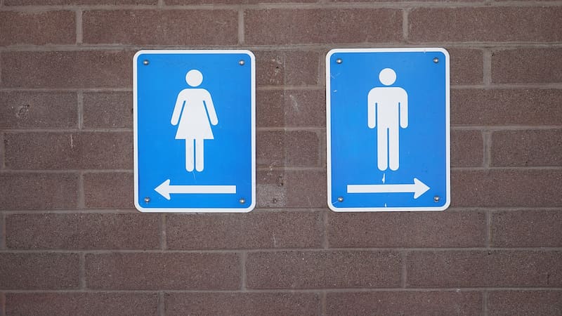 El secreto mejor guardado: cuáles son los baños públicos más limpios y accesibles de Madrid.