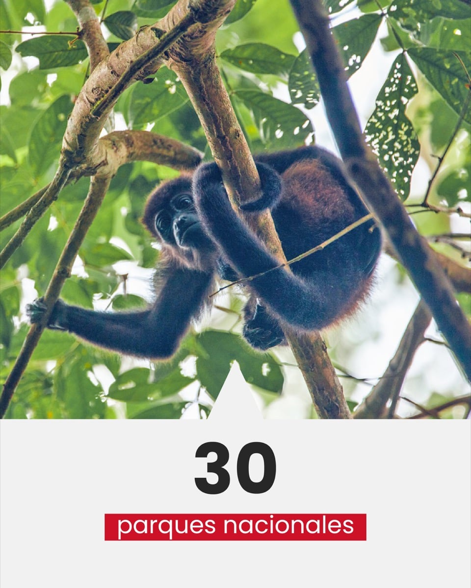 Infograf&iacute;a Costa Rica