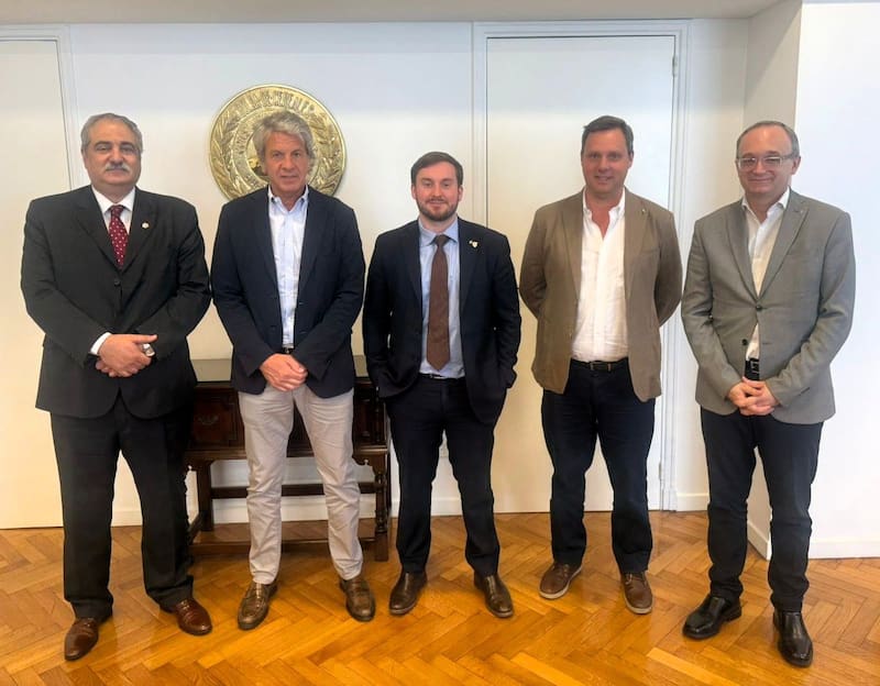 Daniel Assef, Juan Pazo, Felipe Nuñez, Pablo Ginestet y Gustavo Idígoras